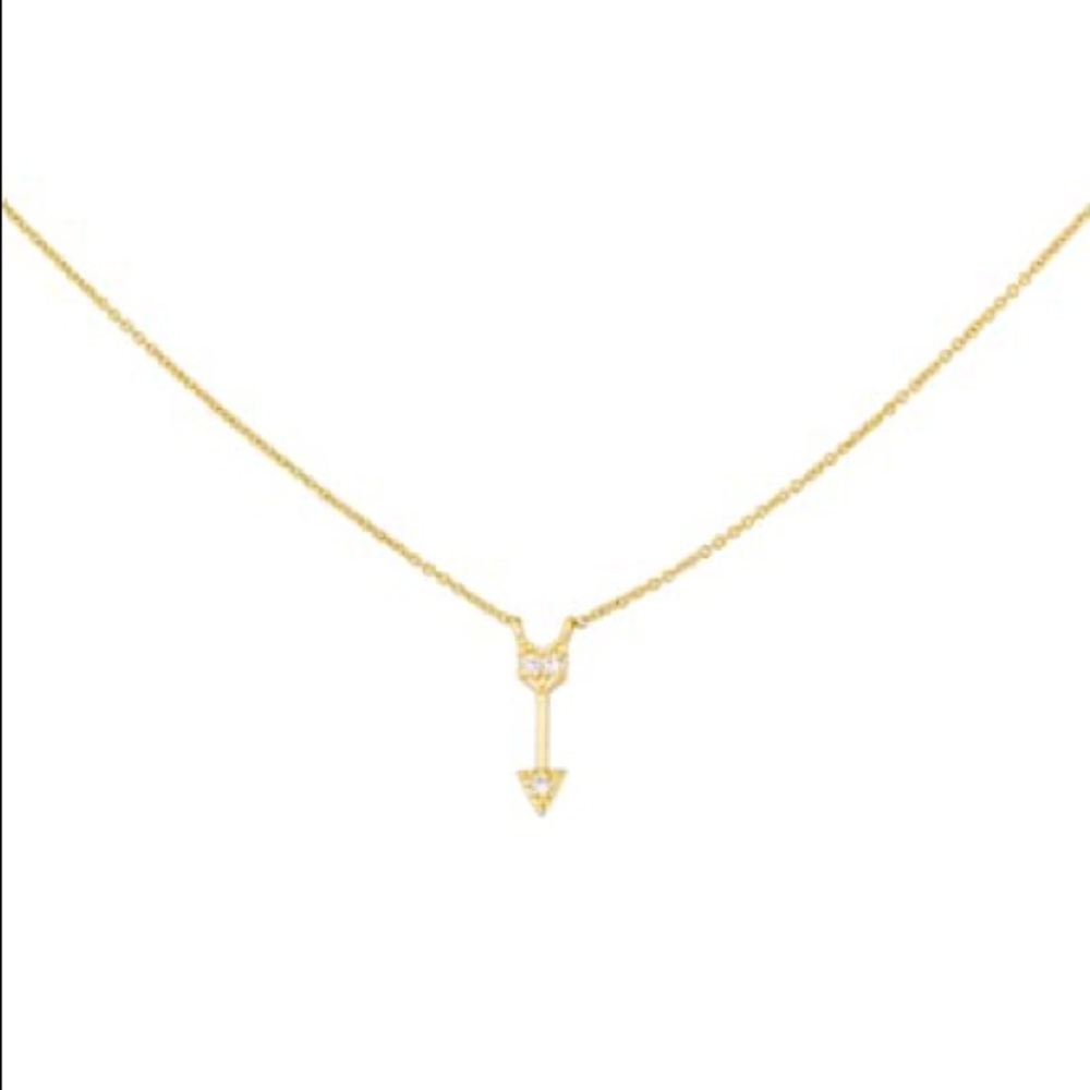 NWT Uncommon James Due South Necklace